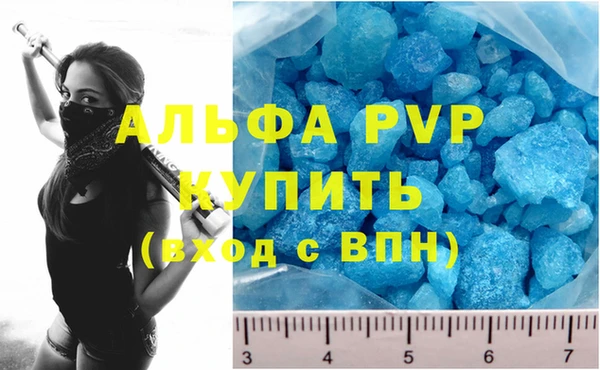 экстази Бородино